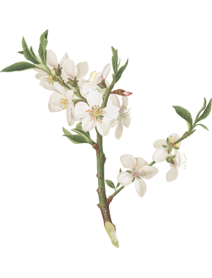 Ürünlerinizi dünyaya ihraç edin